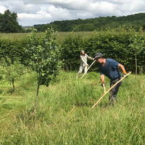 Scything orchard.jpg