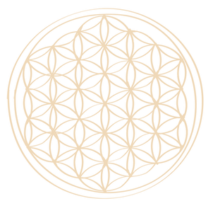 ערכת מיתוג יוגי (11)_edited_edited.png