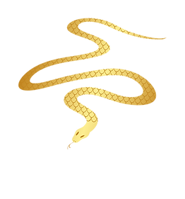 11.png