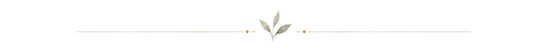 נגה מיבר ערכת מיתוג (14)_edited.png