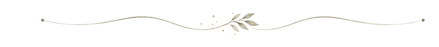 נגה מיבר ערכת מיתוג (14)_edited.png