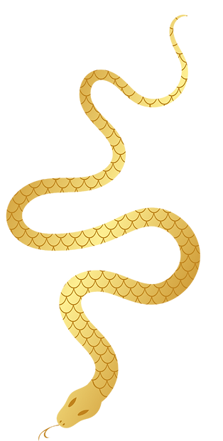 19_edited.png