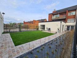 20240412_183153_edited