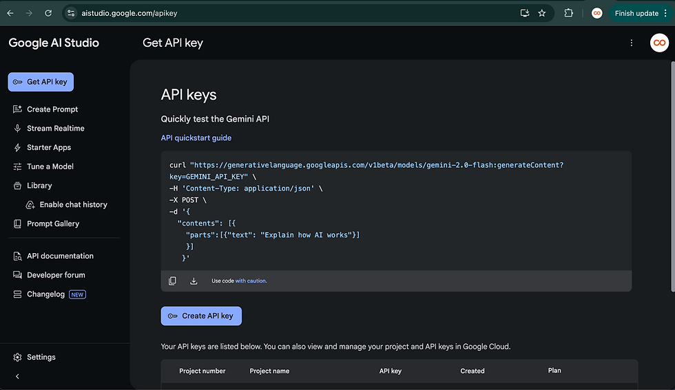 google ai studio