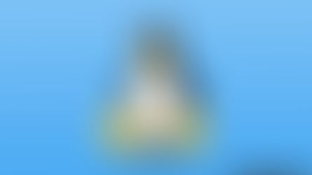 Understand the fdisk output in detail.