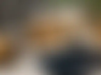 System Down, Clock Ticking, No Comp Engine... What Now? Call TeqTank.