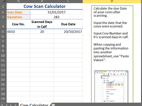 Due Date Calculator Crack Incl Product Key