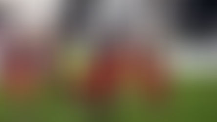 Primera Nacional: San Martín ya tiene rival para el Reducido