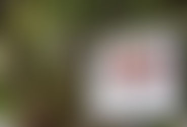 Talleres de verano: está en marcha la semana infantil para niños y niñas