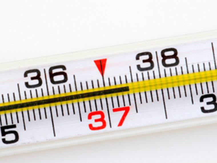 Qual A Temperatura Normal Do Corpo Humano