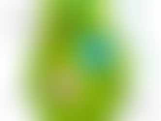 LEVEL 2 (Form 1-3 Secondary School)