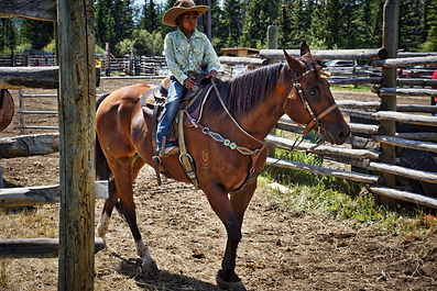 Nemiah Valley Rodeo