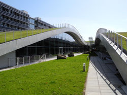 tumblr_nag64qglDu1swdqjpo1_500