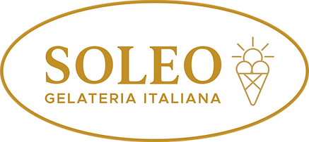 logo soleo
