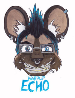Echo