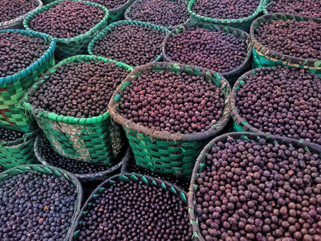 Superfruit Spotlight: AçaÃ