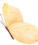 10683064_edited_edited.png