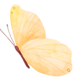 10683064_edited_edited.png