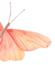 10683064_edited.png