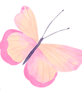 10683065_edited_edited.png
