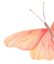 10683064_edited_edited.png