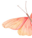 10683064_edited_edited.png