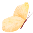 10683064_edited.png