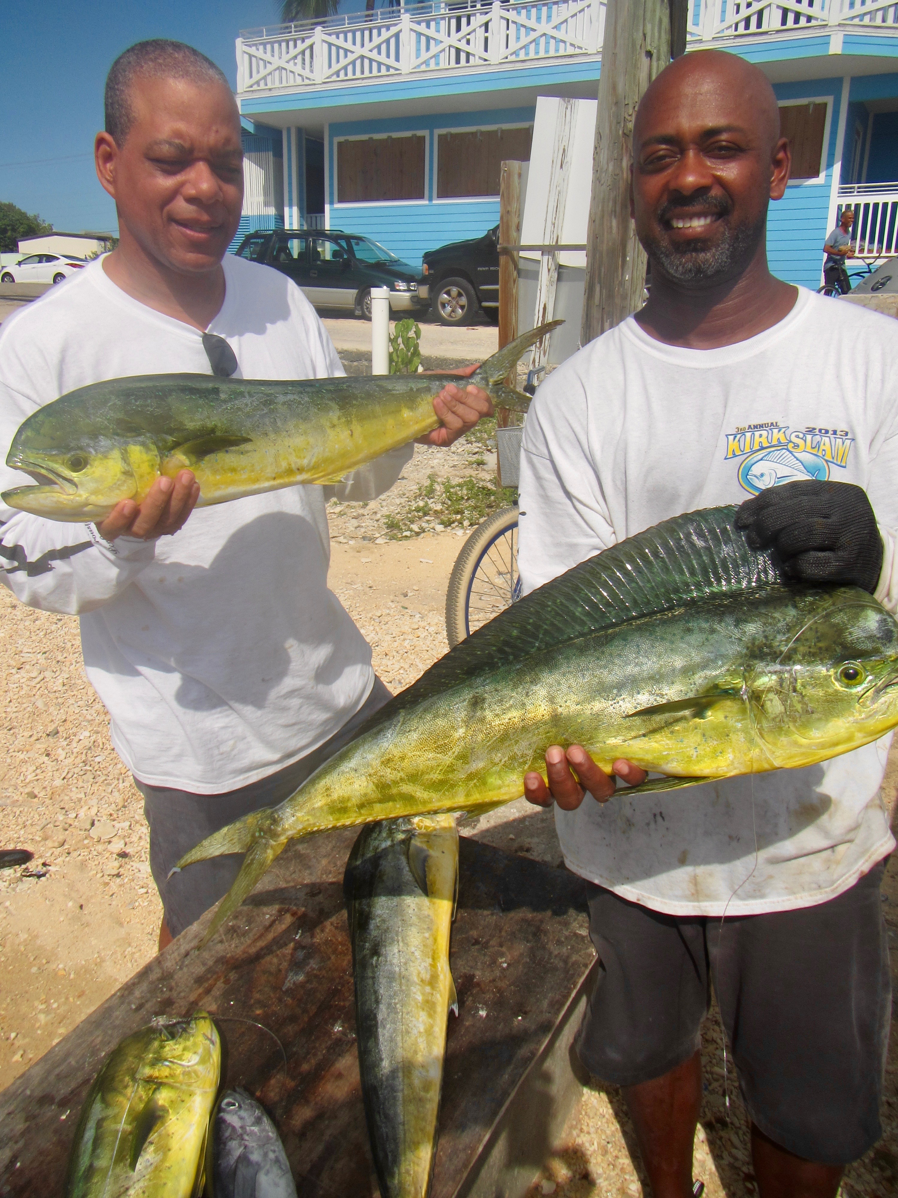 Mahi