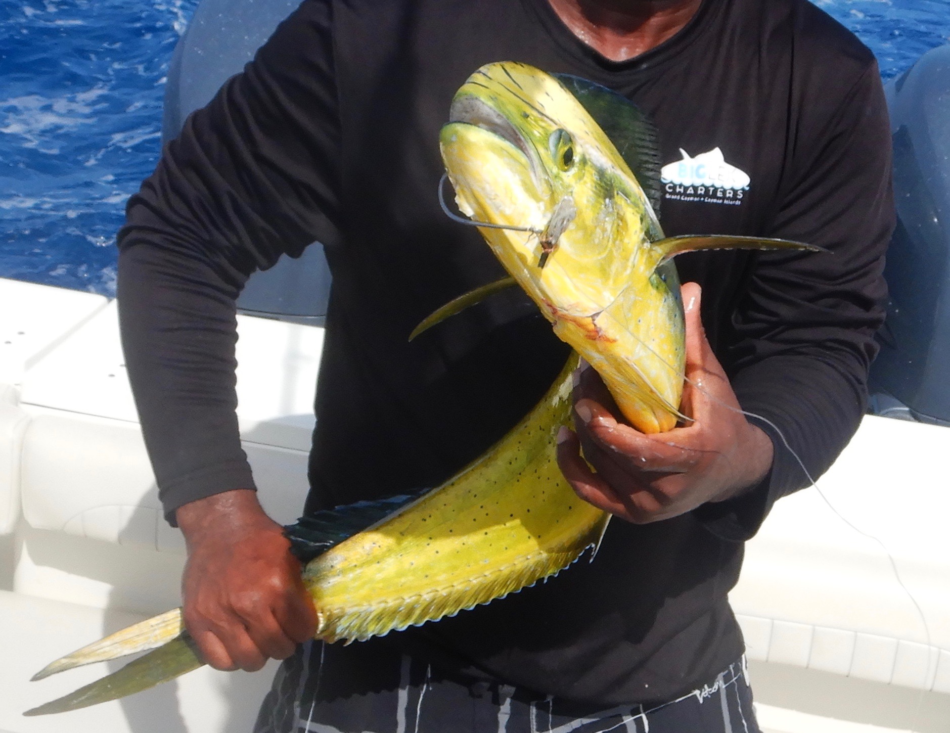 Live Mahi