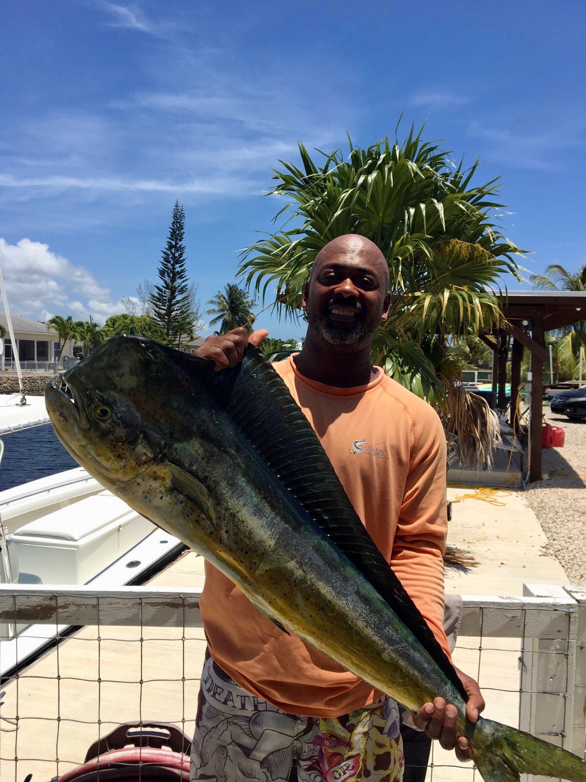 Mahi