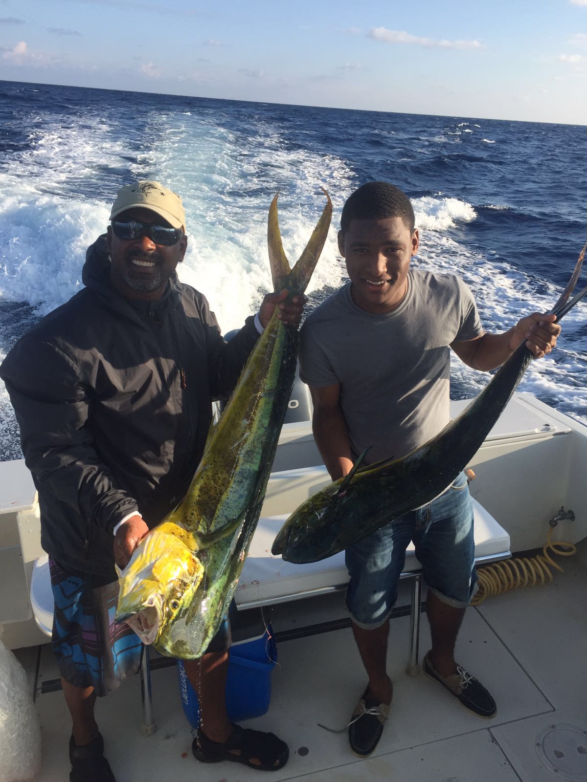 Mahi