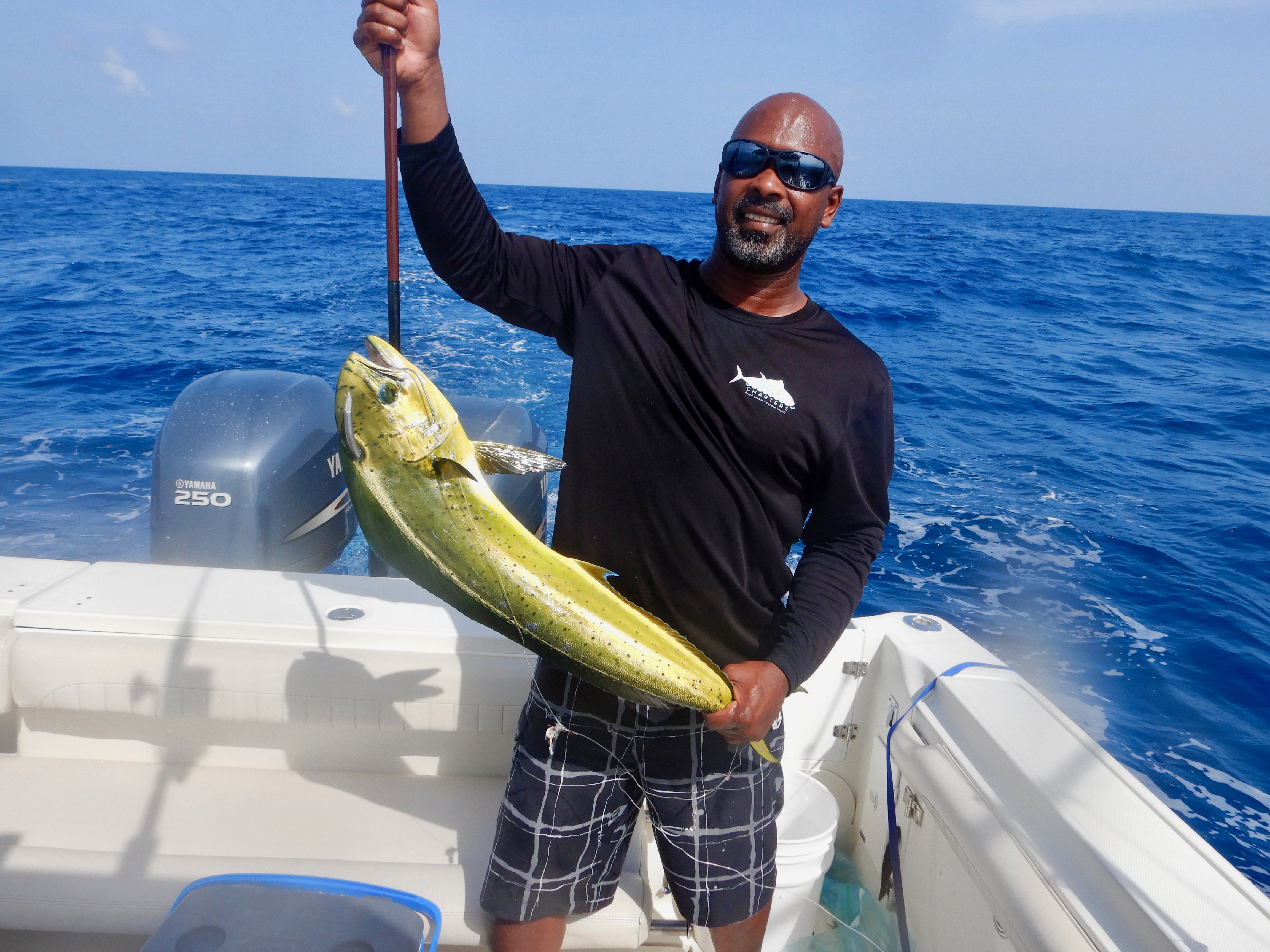 Mahi
