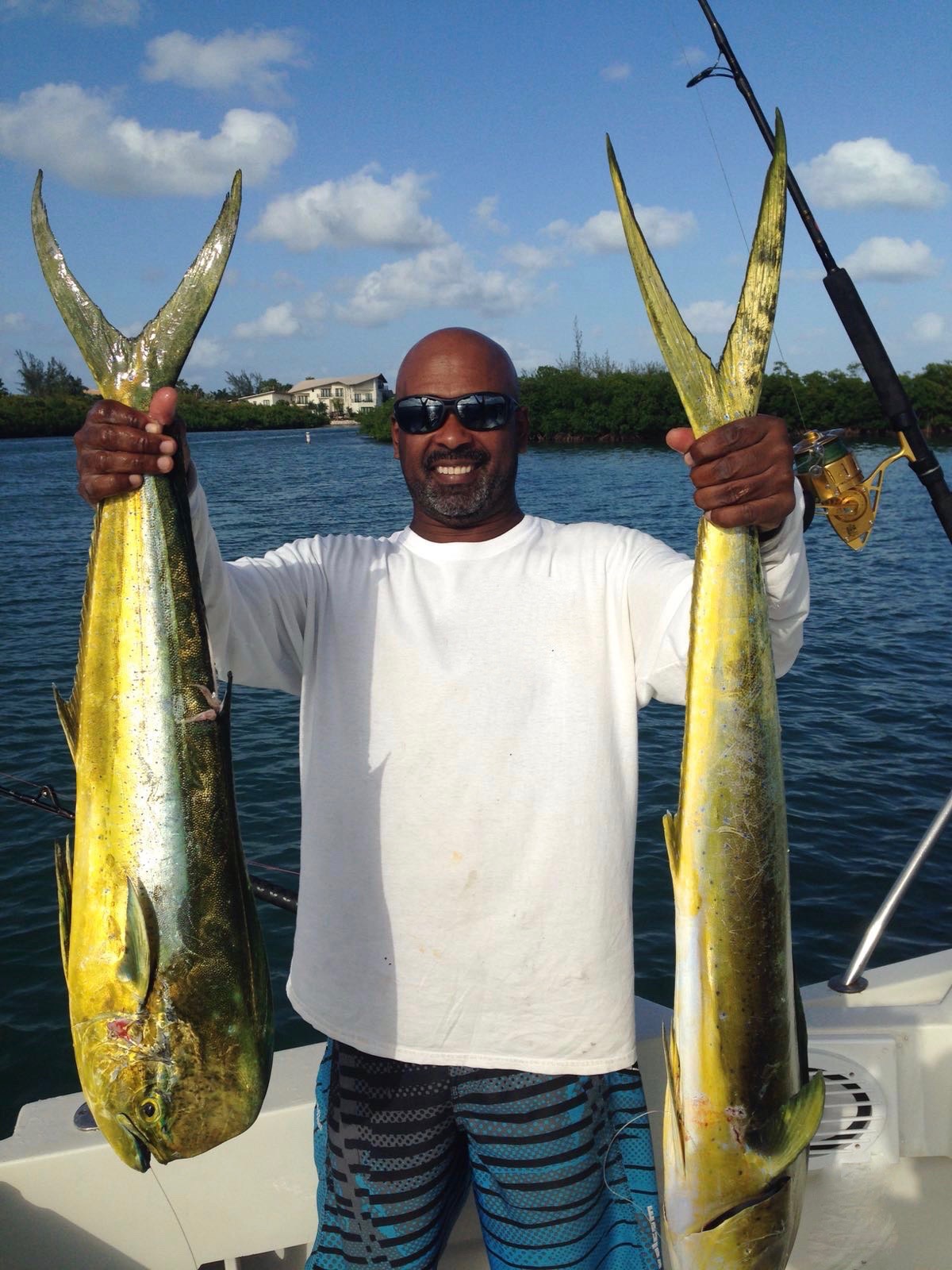 Mahi