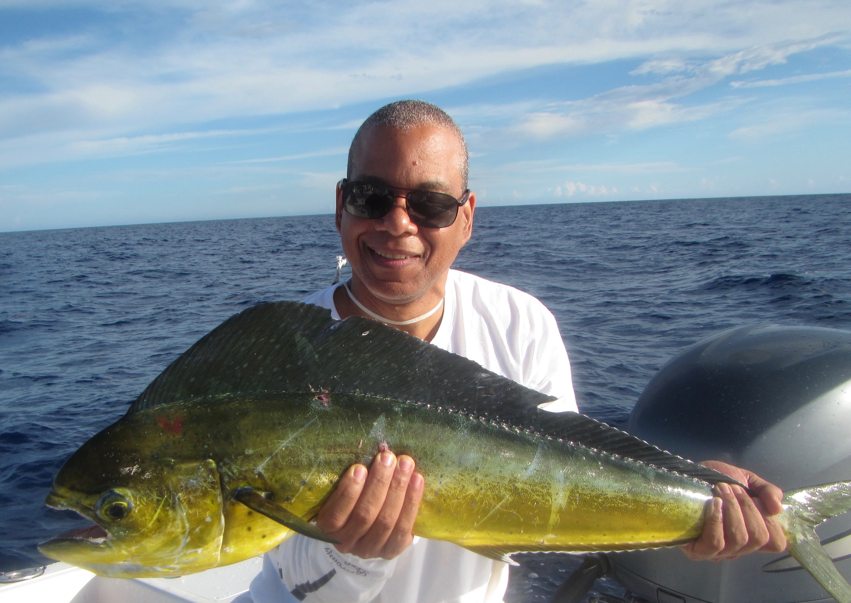 Mahi