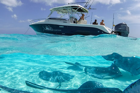 stingray city private boat charter cayman islands