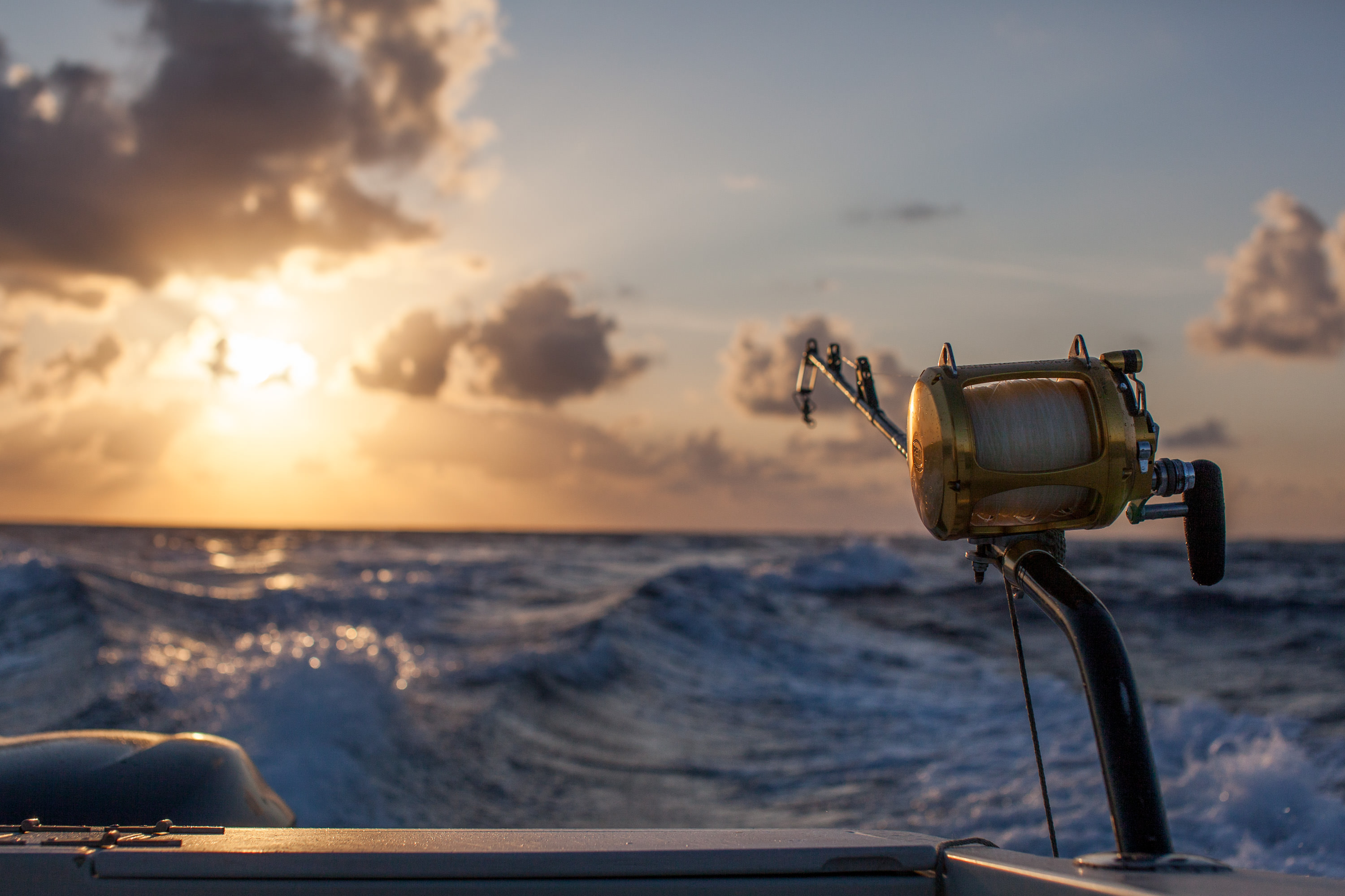 Sunrise Wahoo fishing