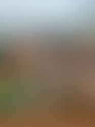 Equipping the Saints: A Week of Transformation in Gitega, Burundi