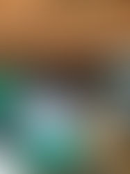 Sharing God’s Word: Free Bibles for the Karen Church in Palaynok