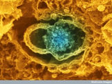 Membrane Lipids Direct Proteins and Proteins Direct Lipids