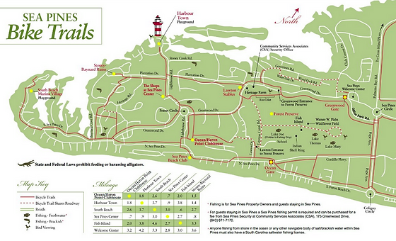 7 BLACK DUCK | Rent Direct From Owner & Save | ACTIVITIES