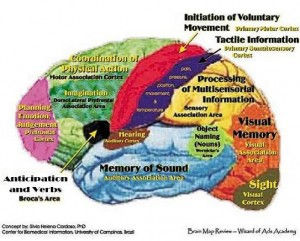 Brain regions for music