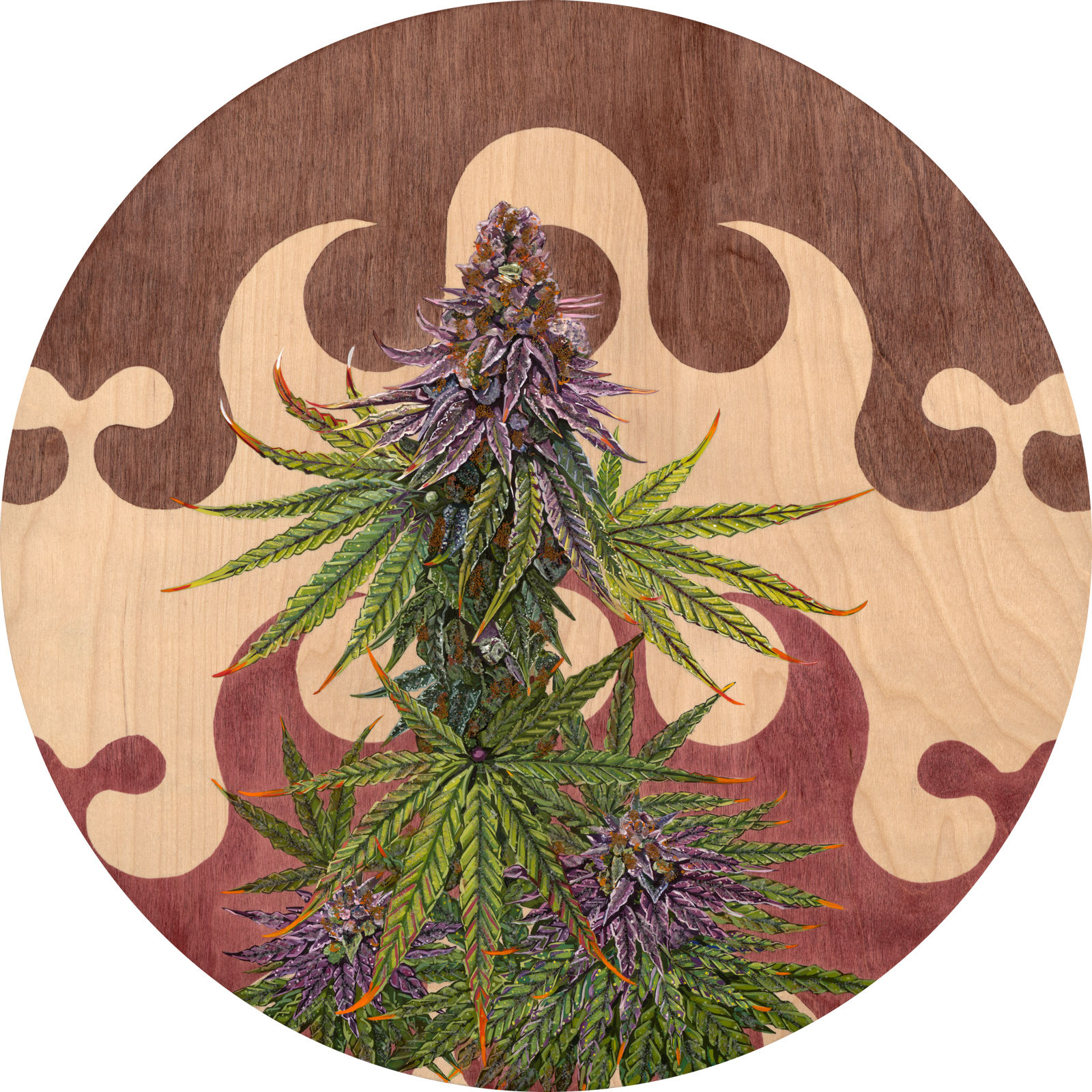 Indica Badu Print