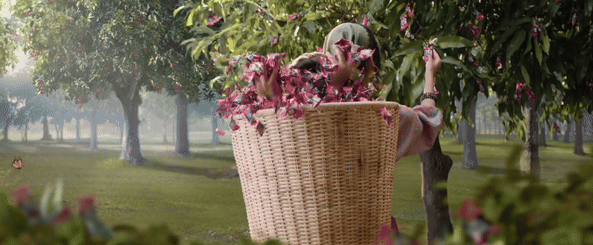 Alpenliebe Juzzt Jelly