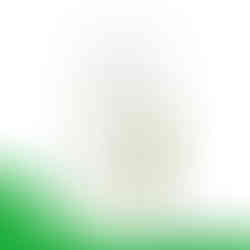 NutriGreen Fenugreek - 60 Tablets