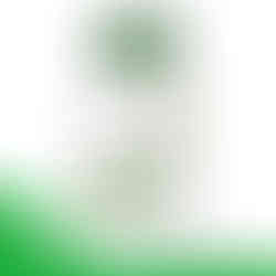 NutriHerb Raspberry Leaf - 60 Capsules 1