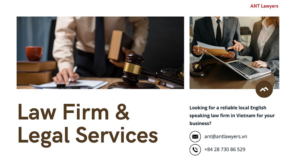 Professional Law Firm in Vietnam