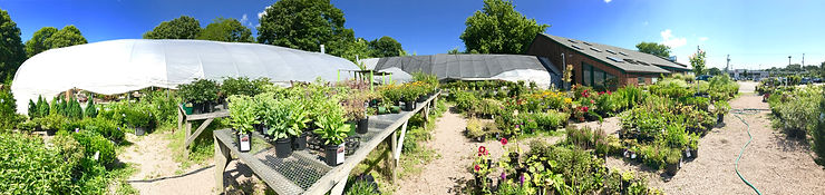 Broadview Landscape and garden Center Westerly Rhode Island