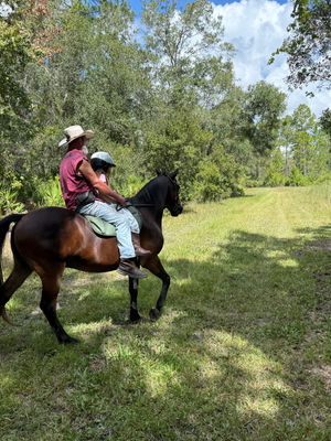 My First Trail Ride 🌲🐴✨