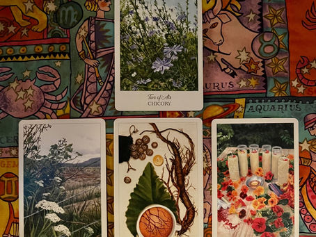 Iris X Reading of the Week/Week beginning on 5.1.23