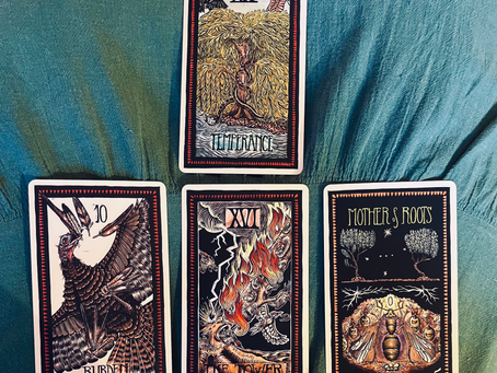 Iris X Reading of the Week/Week beginning on 11.21.22: